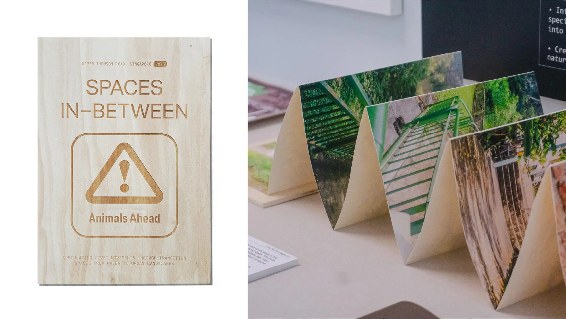 A project by Krystle Peh