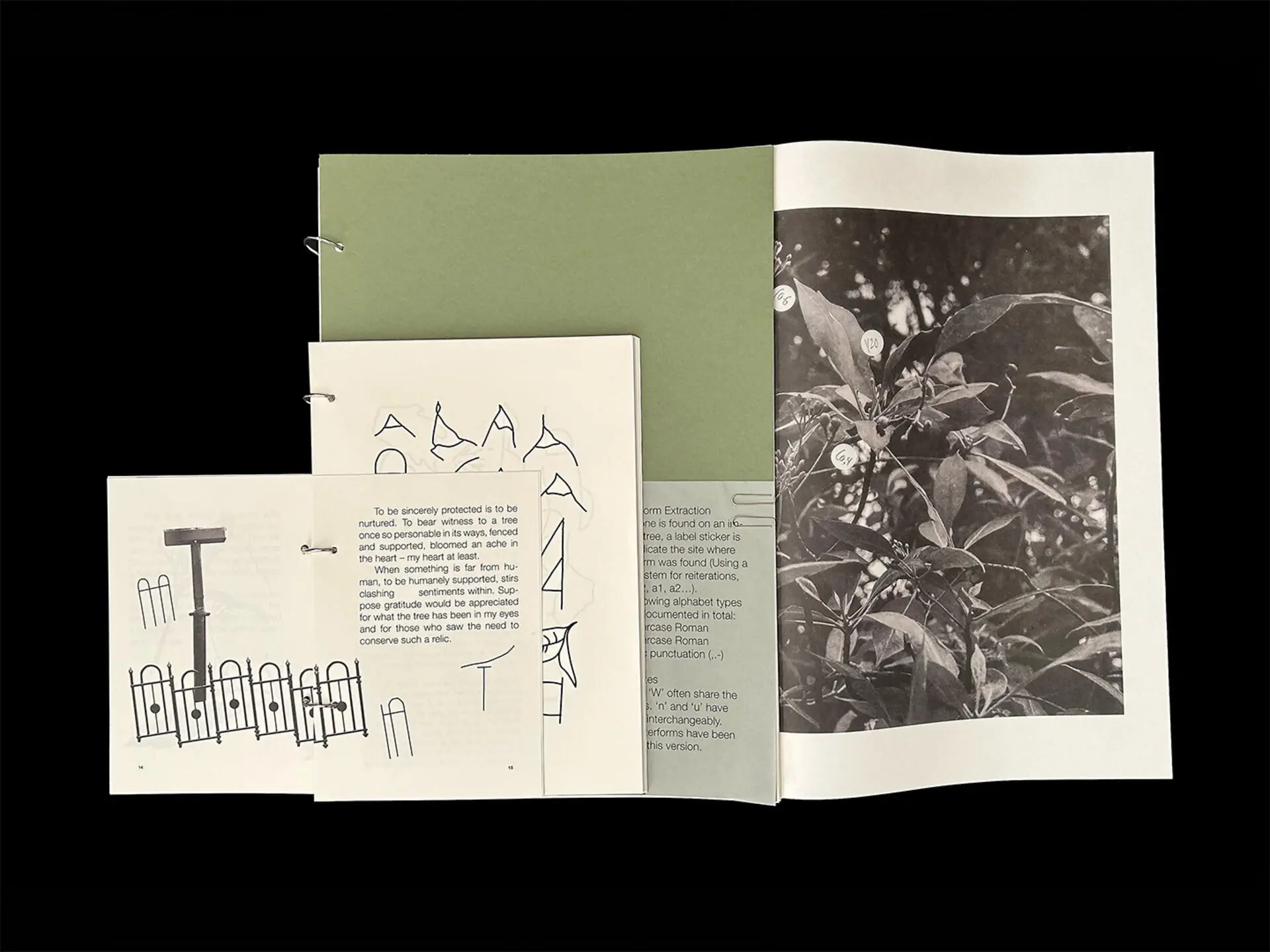 A project by Gwyneth Anne Peter