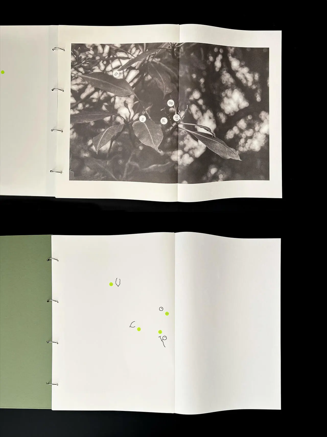 A project by Gwyneth Anne Peter