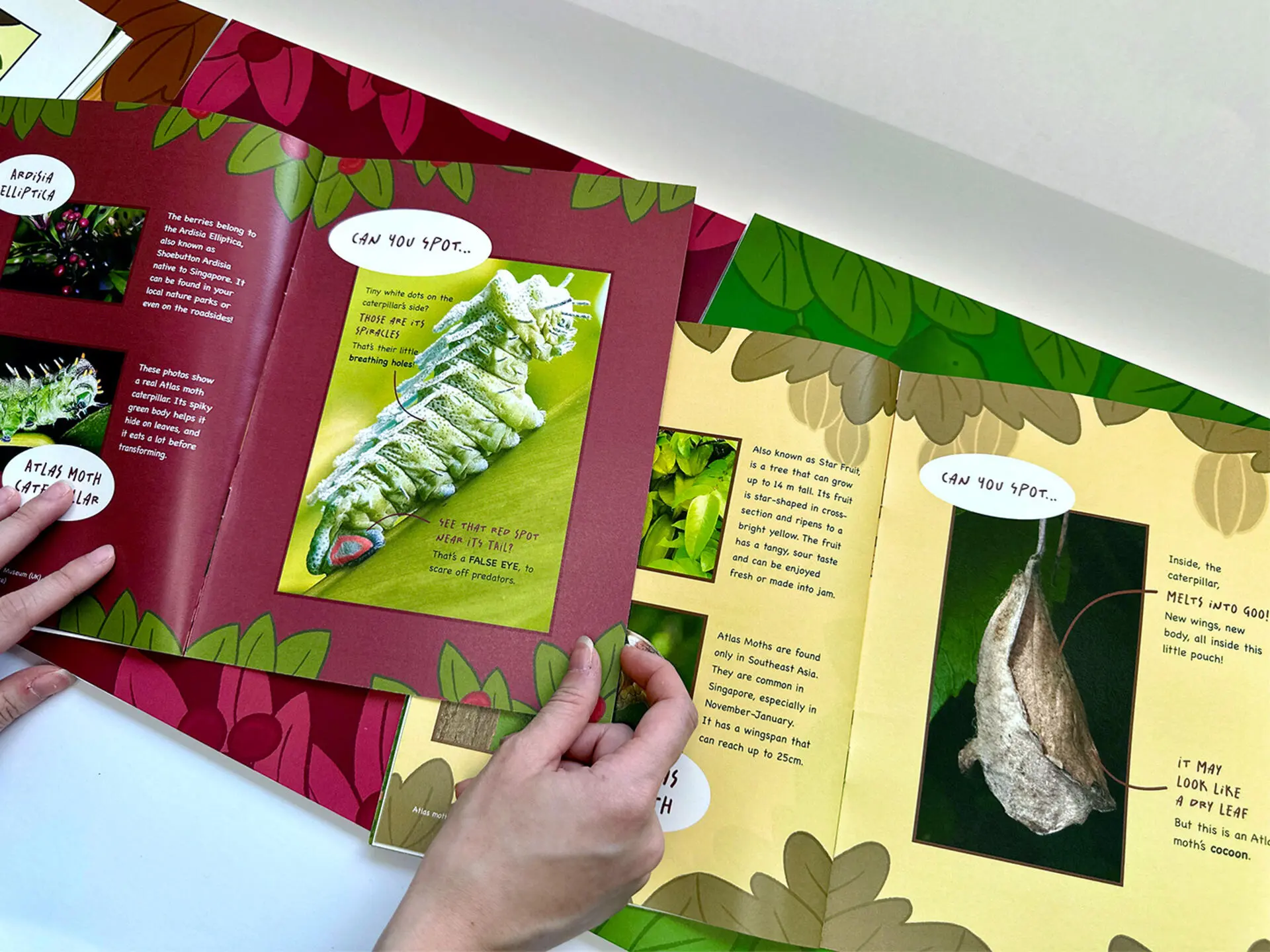 A project by Jocelyn Tan