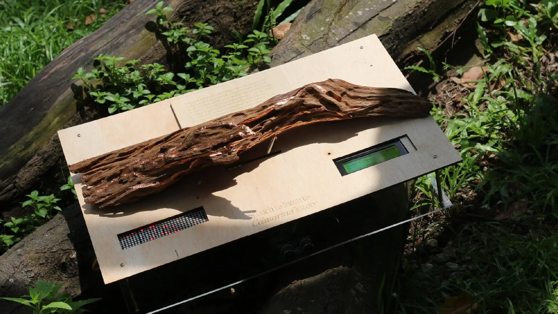 A project by Alda Soh Bi Rui