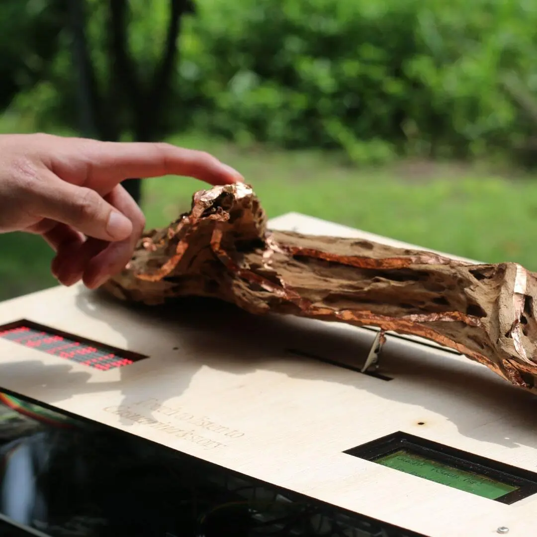 A project by Alda Soh Bi Rui