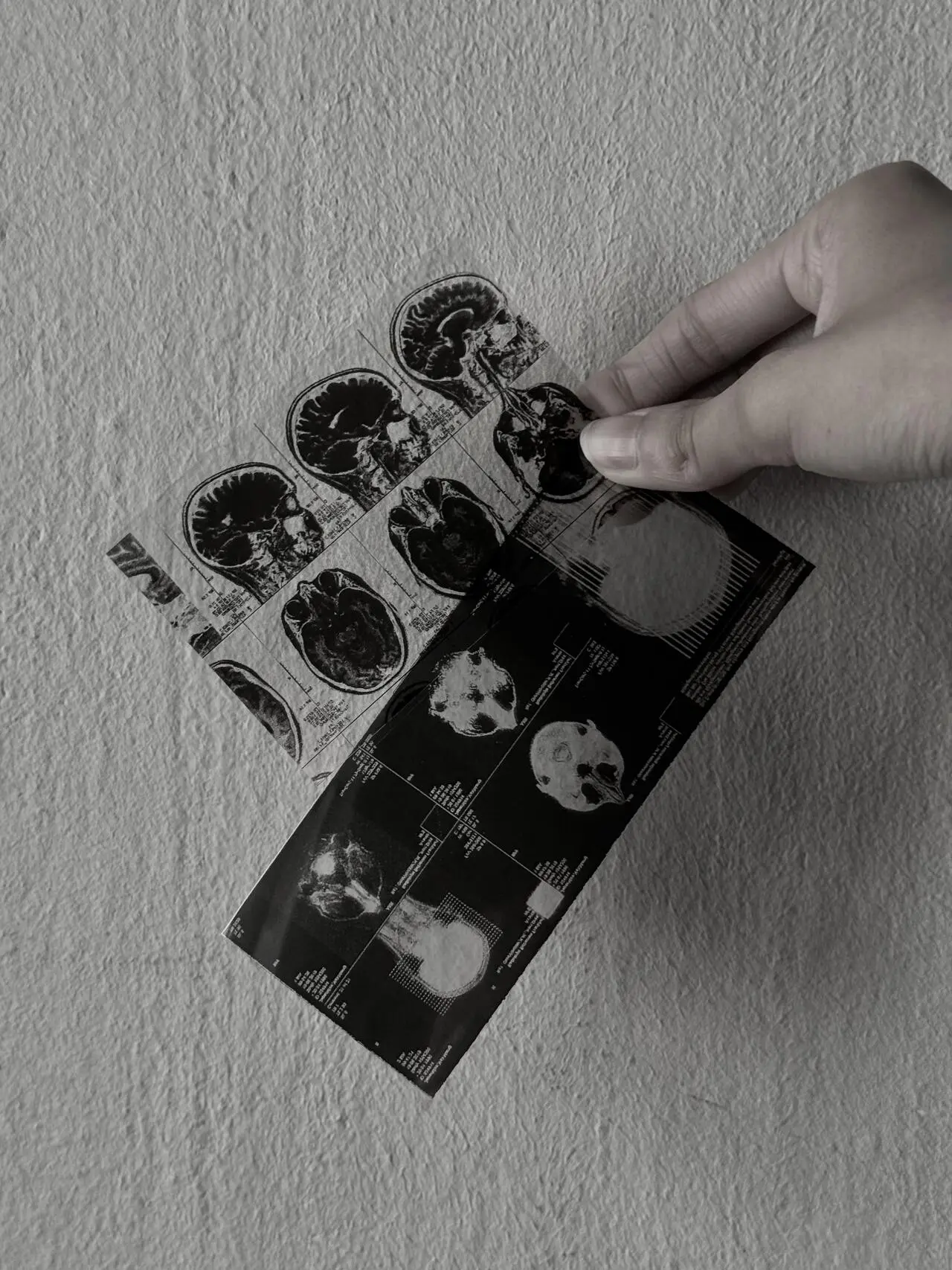 A project by Nur Rabi'atul Adawiah