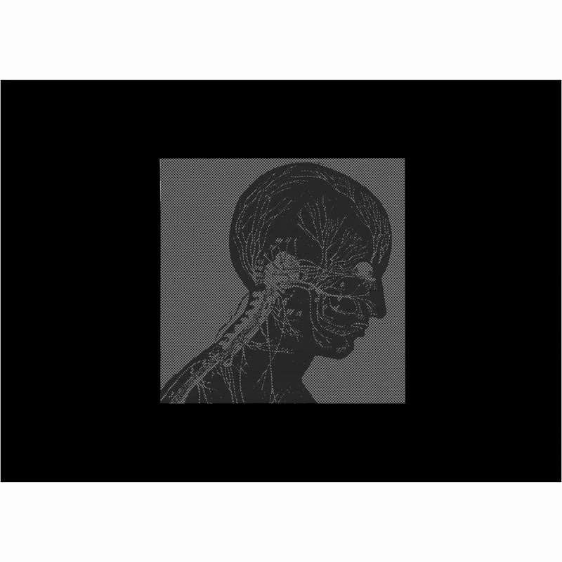 A project by Nur Rabi'atul Adawiah