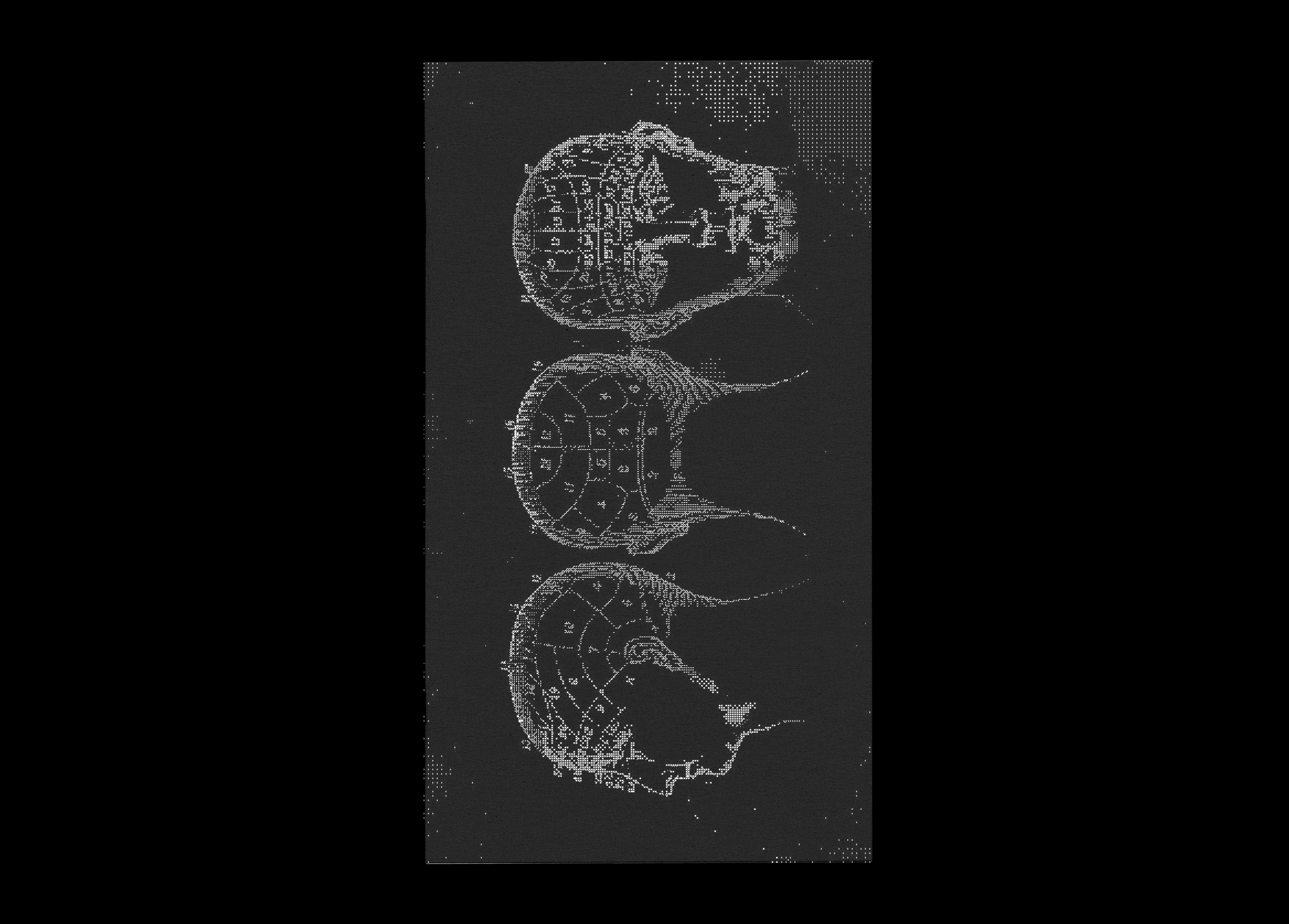 A project by Nur Rabi'atul Adawiah