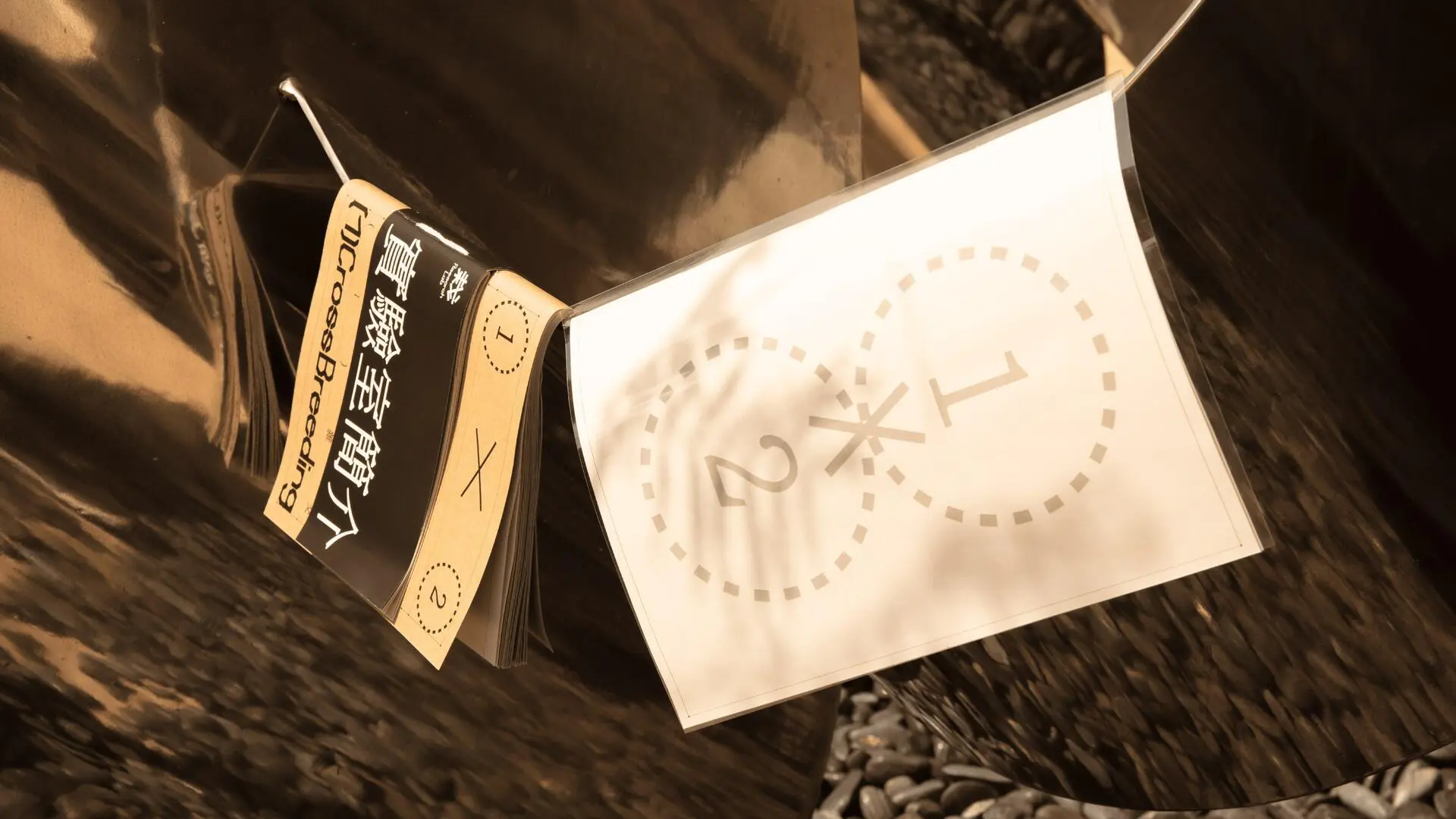 A project by Yeo Zhe En Keafe