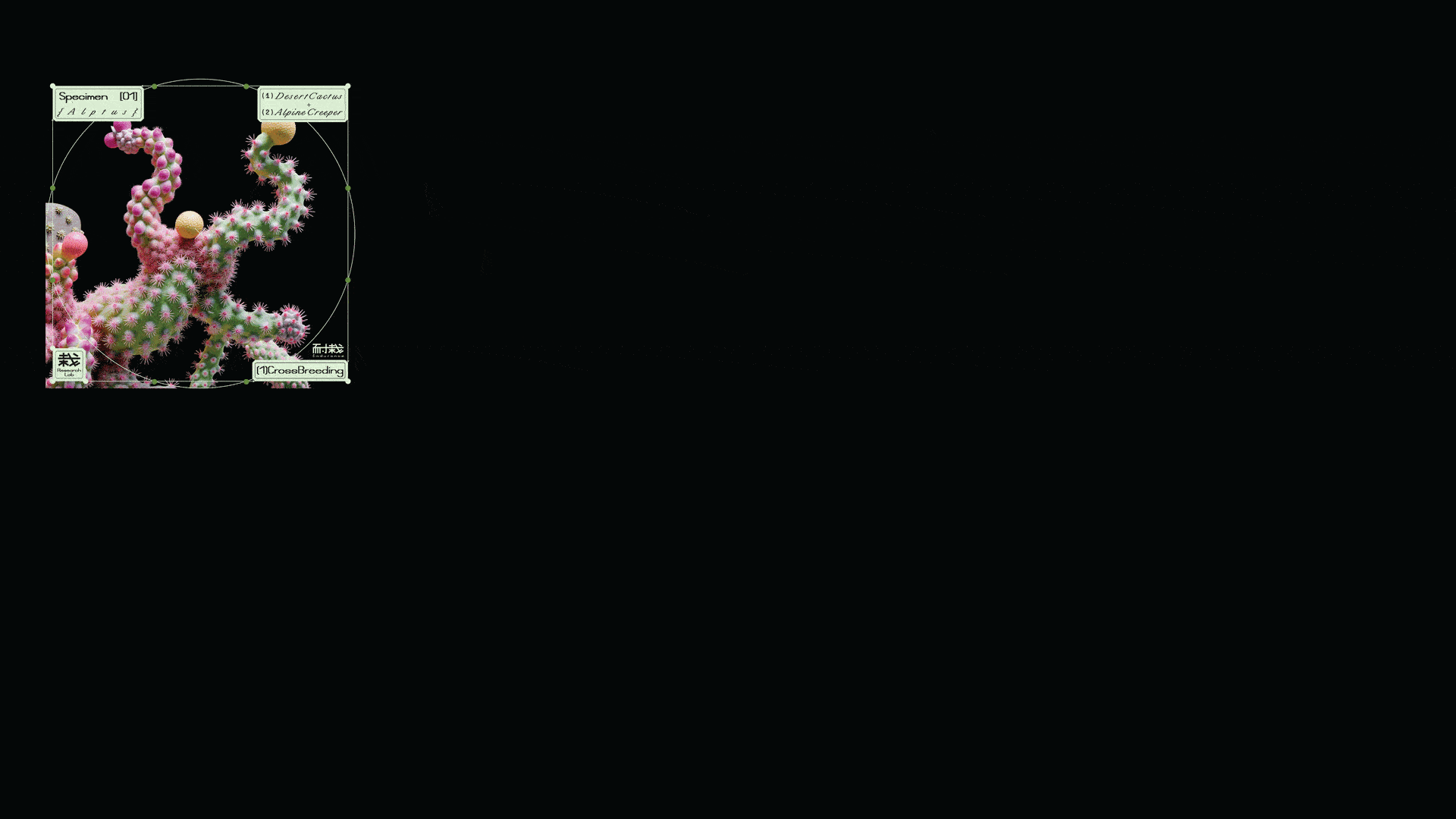 A project by Yeo Zhe En Keafe