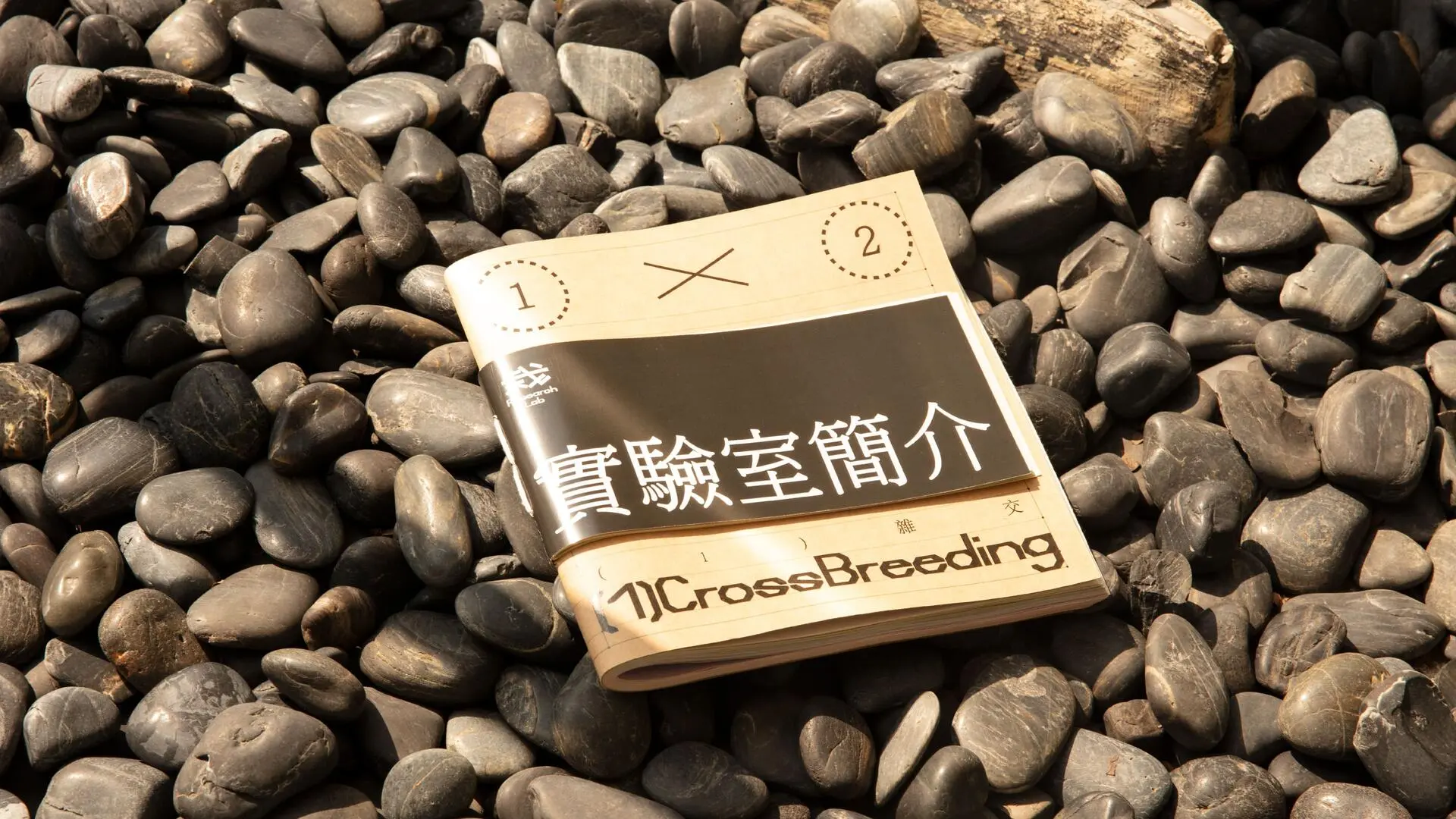 A project by Yeo Zhe En Keafe