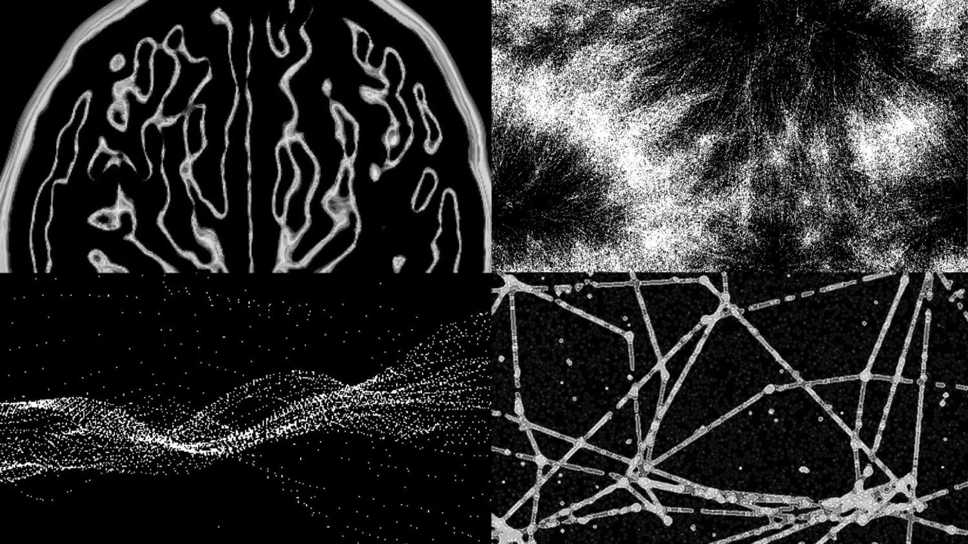 A project by Lee HyeonJeong