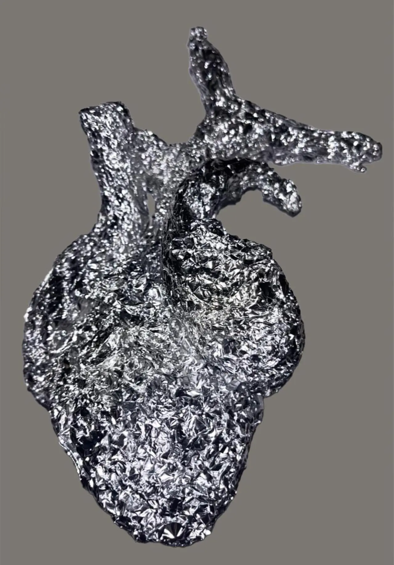 A project by Ava Siew Ashokan