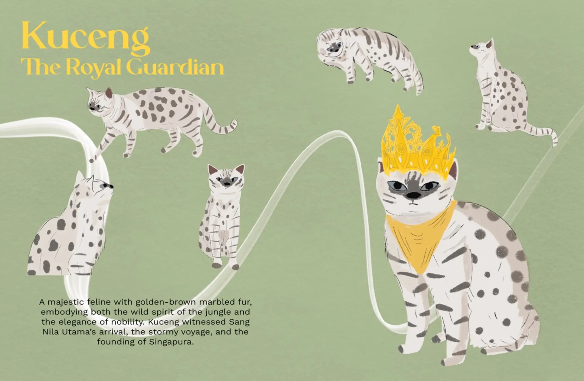 A project by Nasha Erina