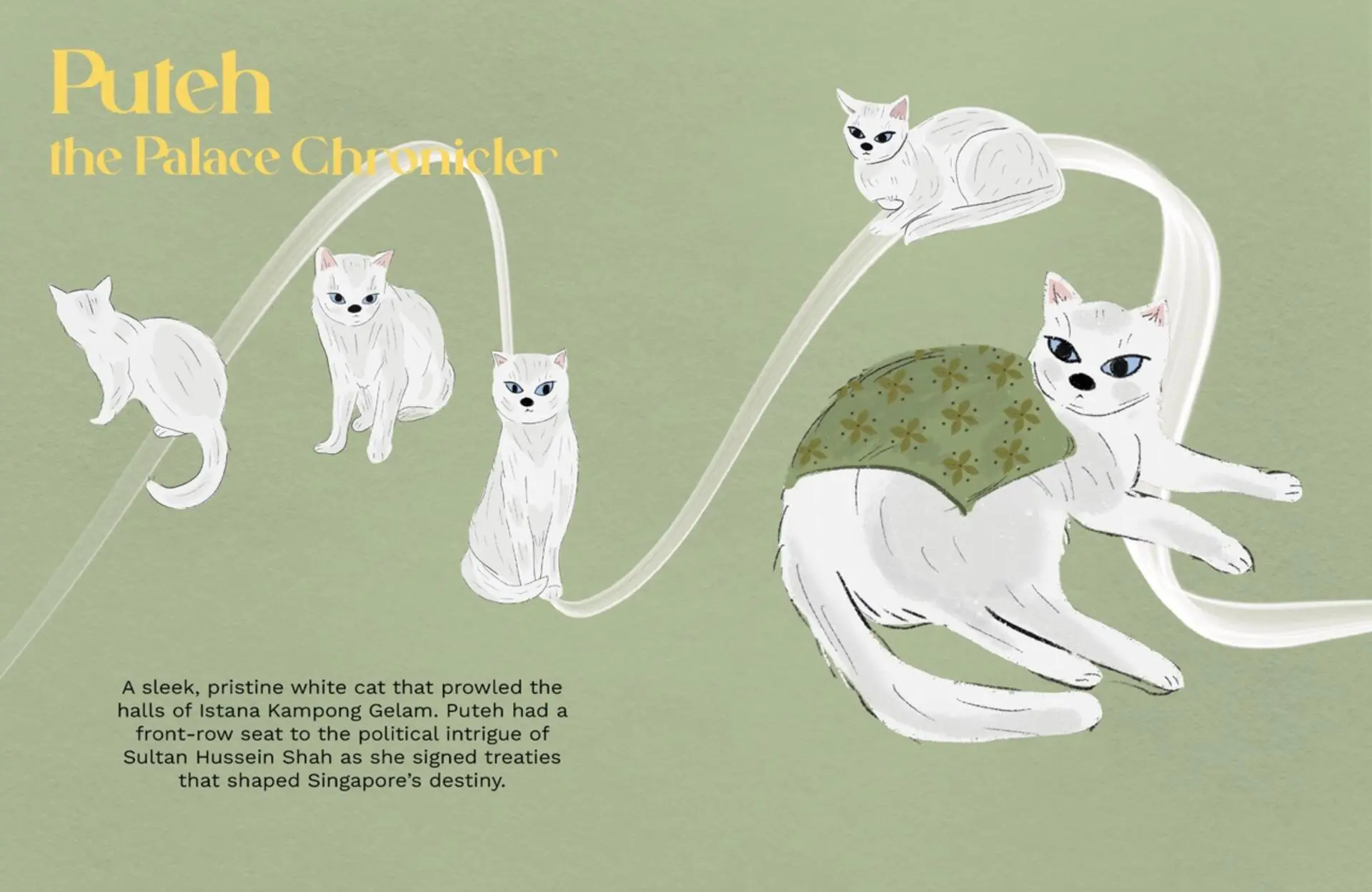 A project by Nasha Erina