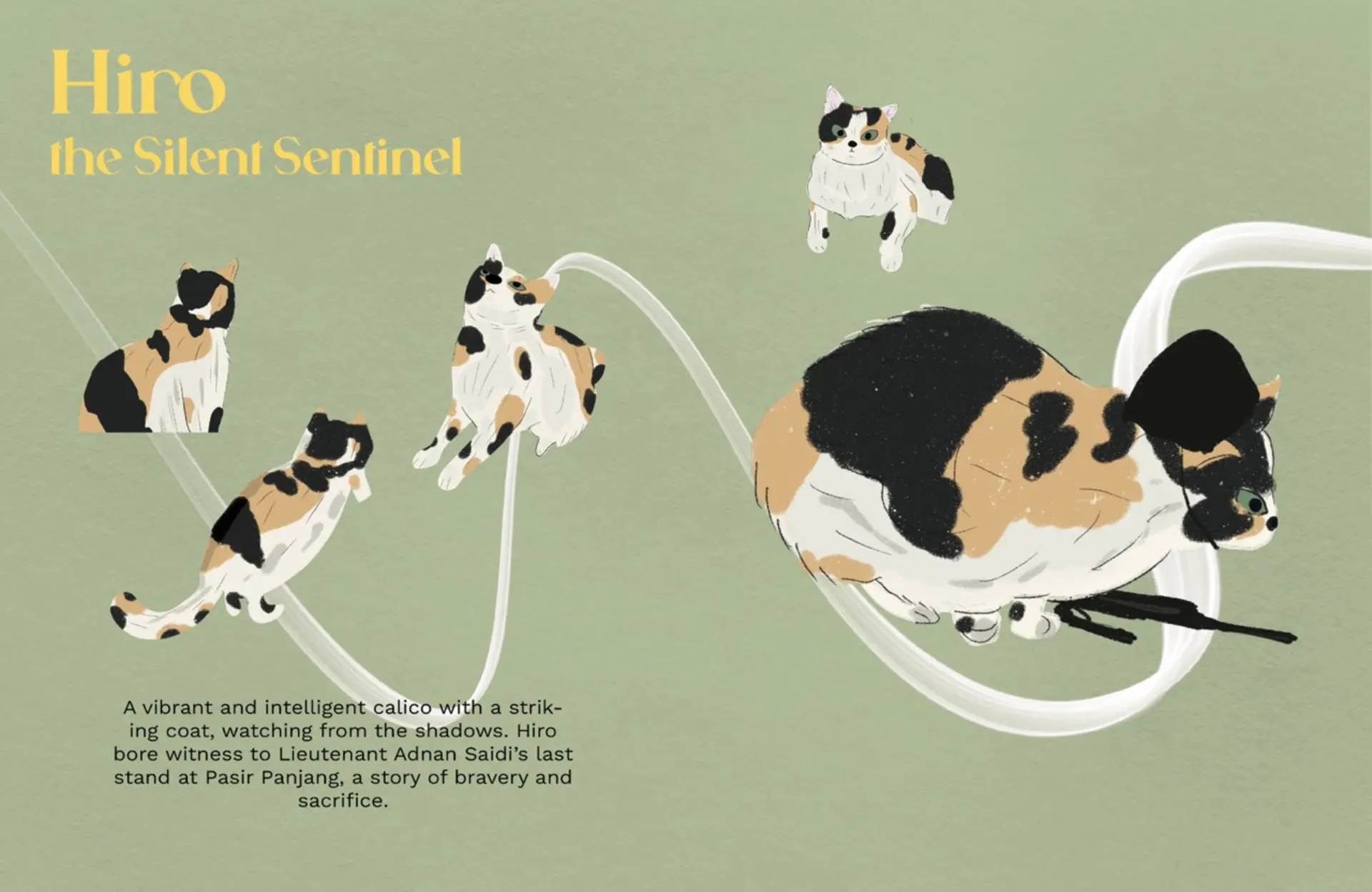 A project by Nasha Erina