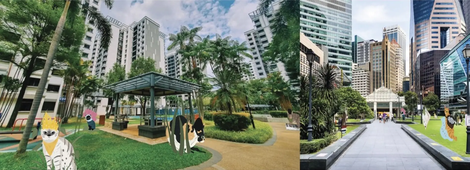 A project by Nasha Erina