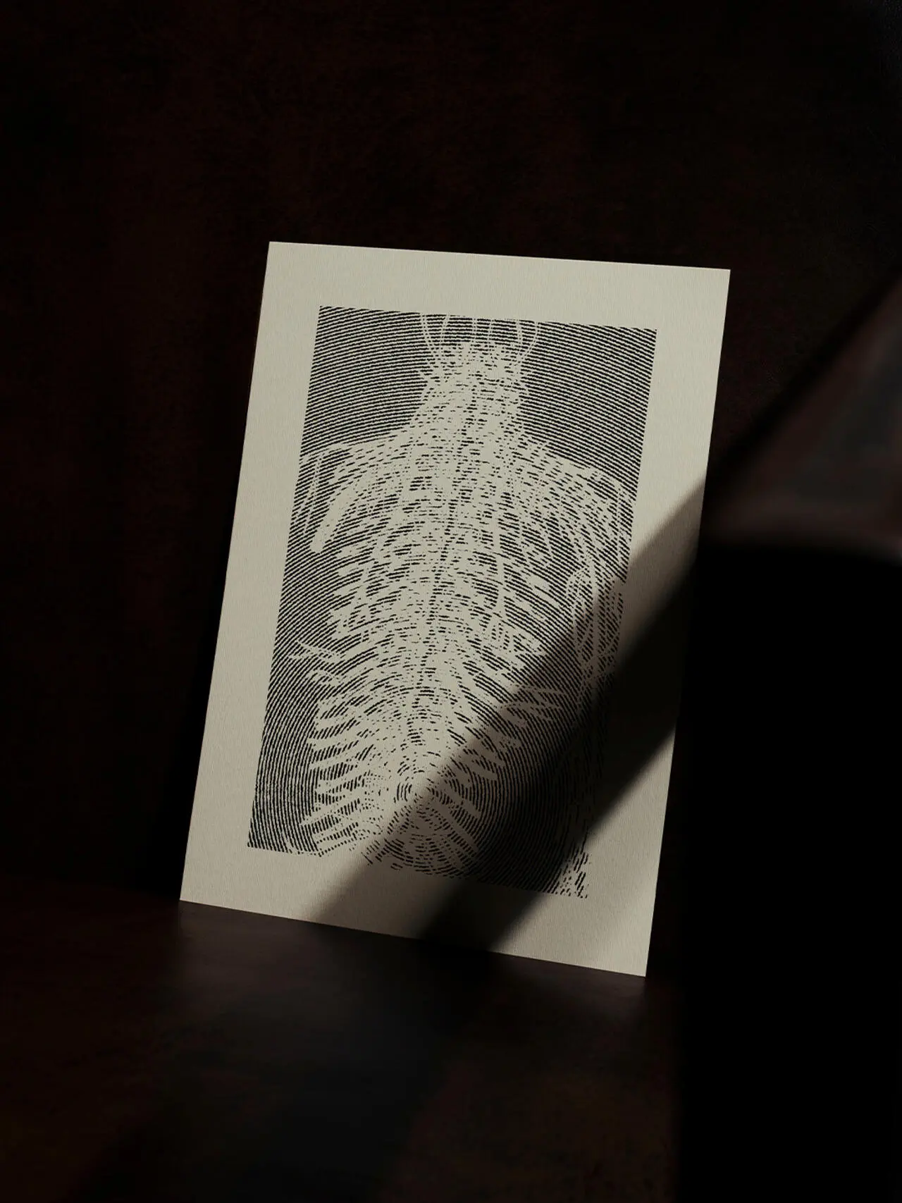 A project by Nisa Sorfina