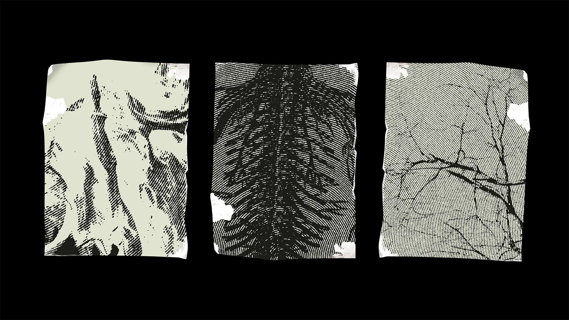 A project by Nisa Sorfina