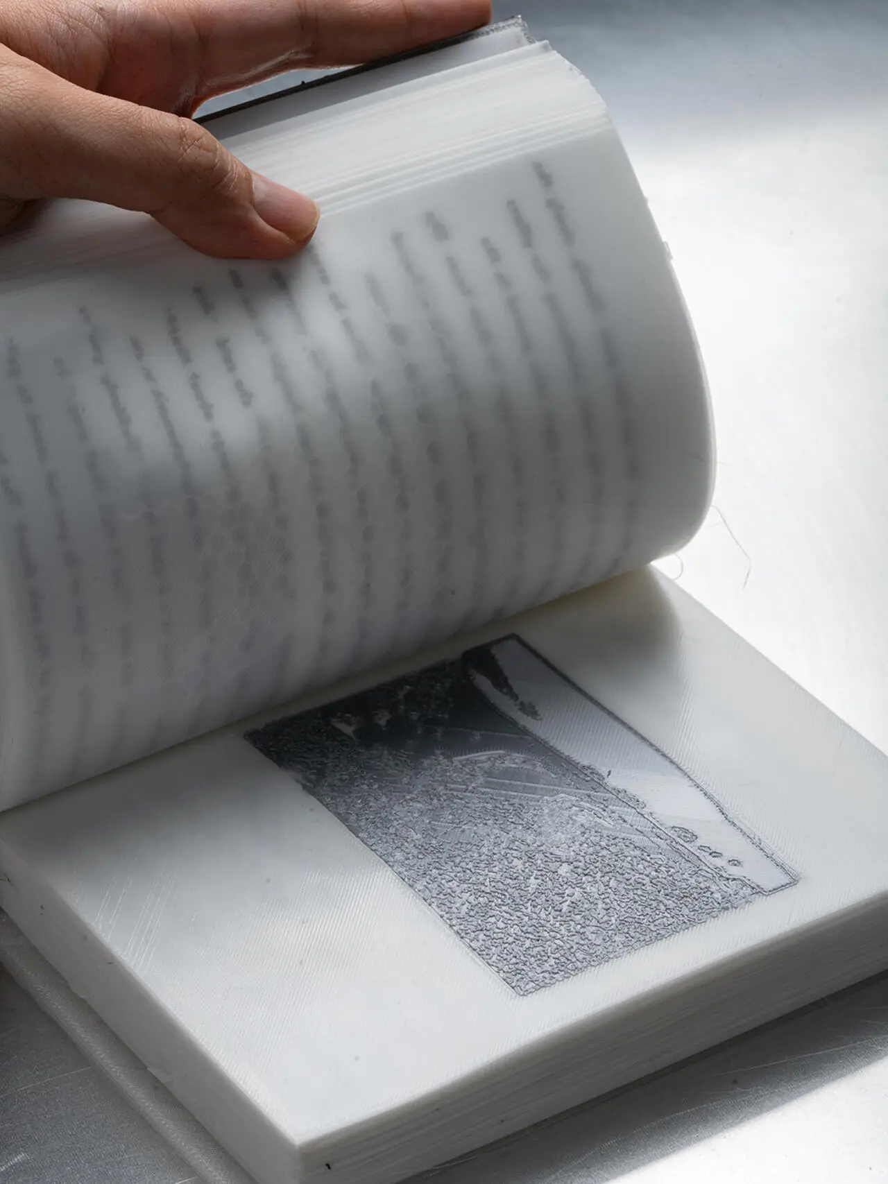 A project by Darius Ou