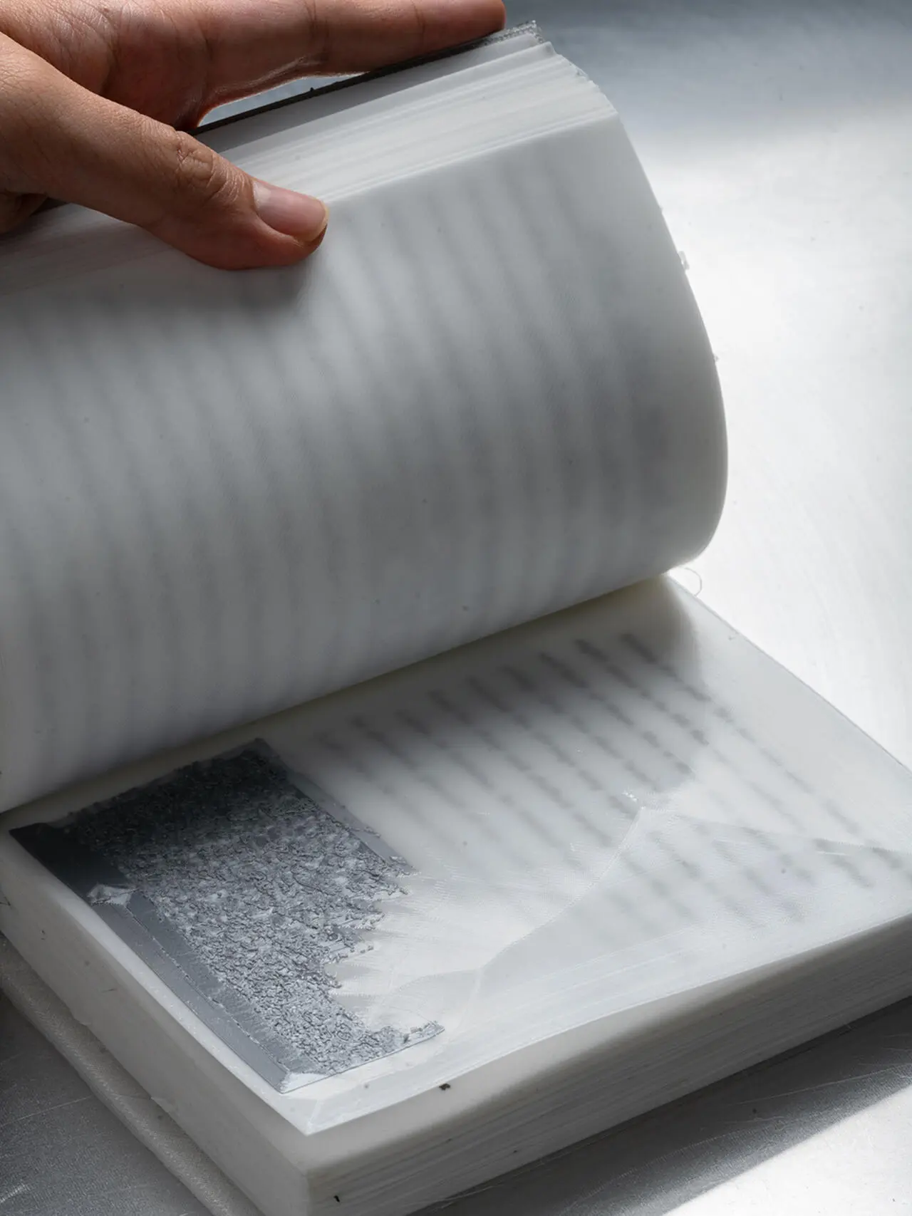 A project by Darius Ou