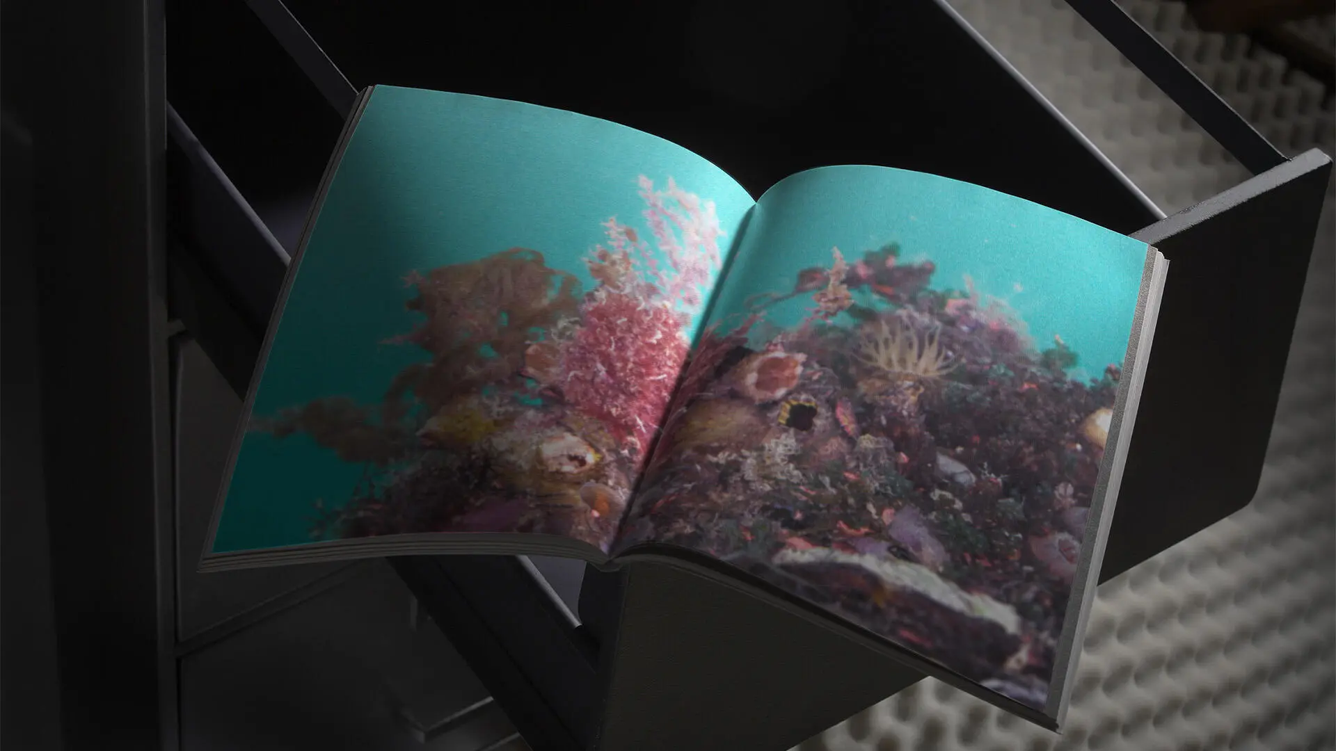 A project by Tan Jia Wen