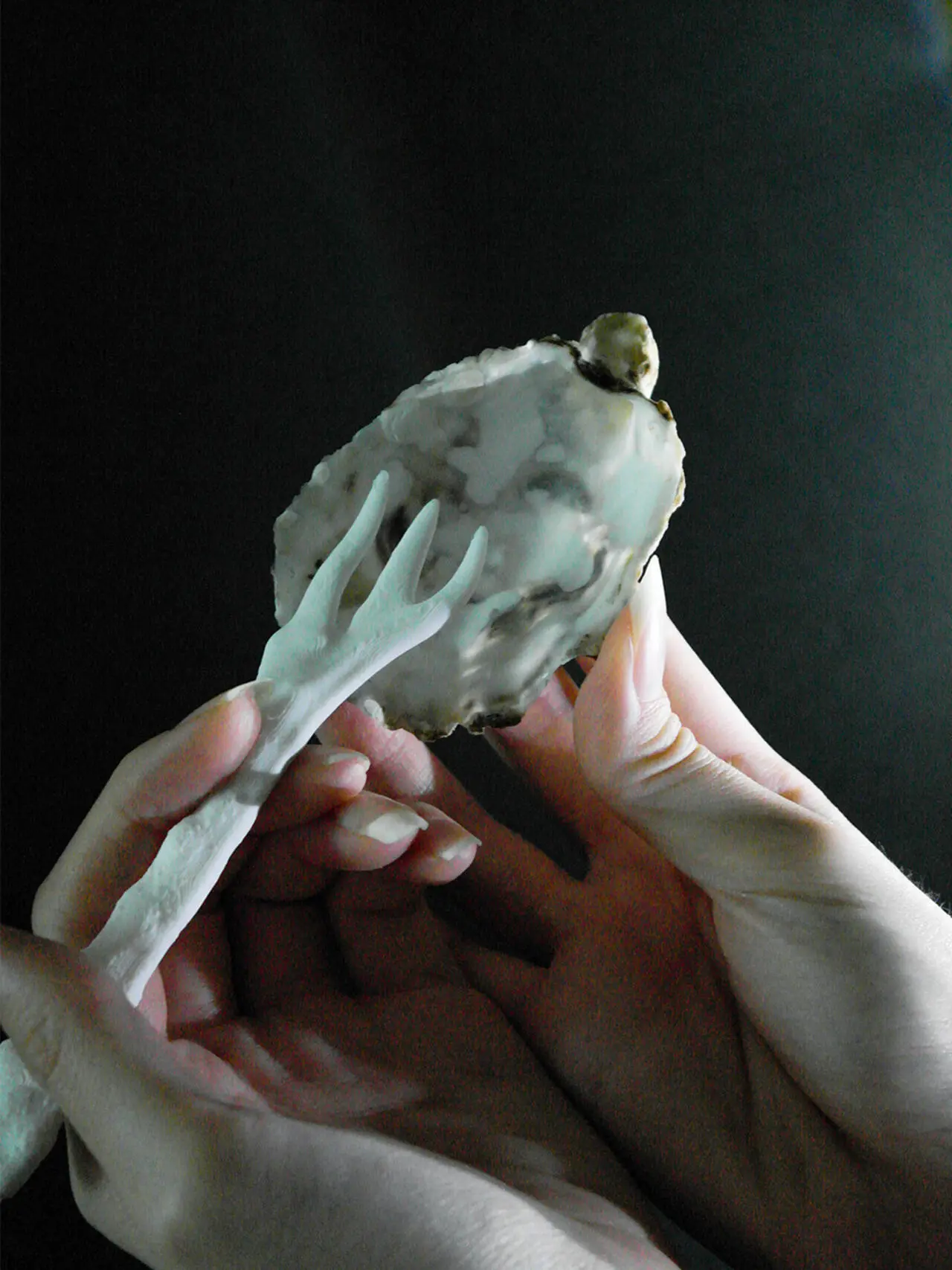 A project by Tan Jia Wen
