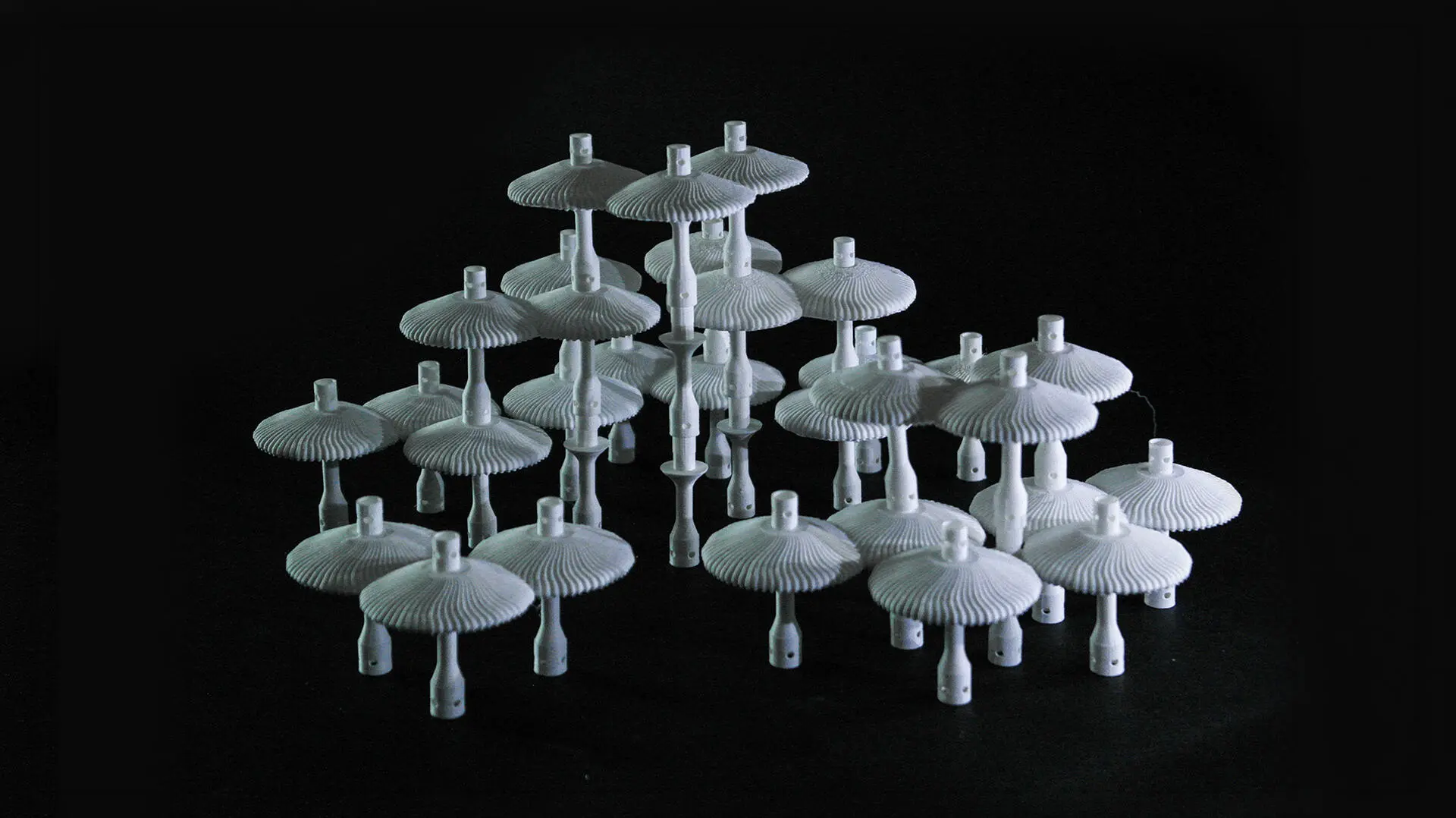 A project by Tan Jia Wen
