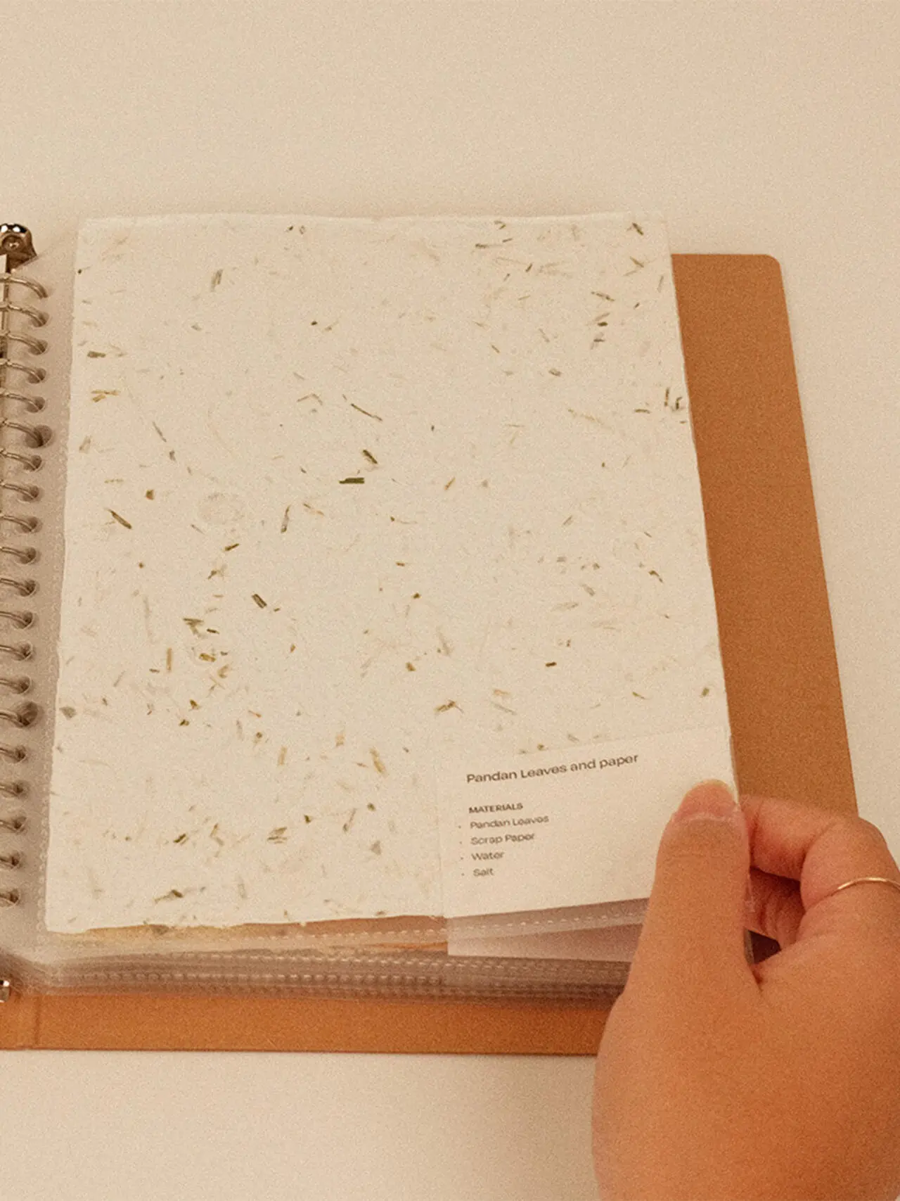 A project by Denise Chen