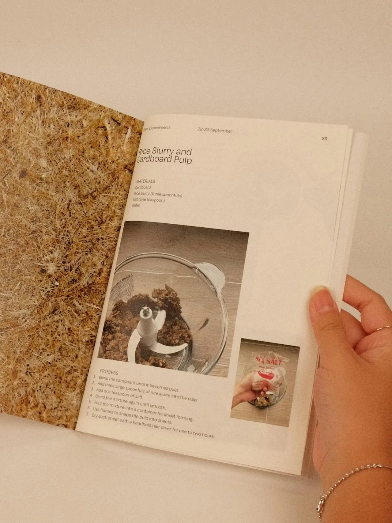 A project by Denise Chen