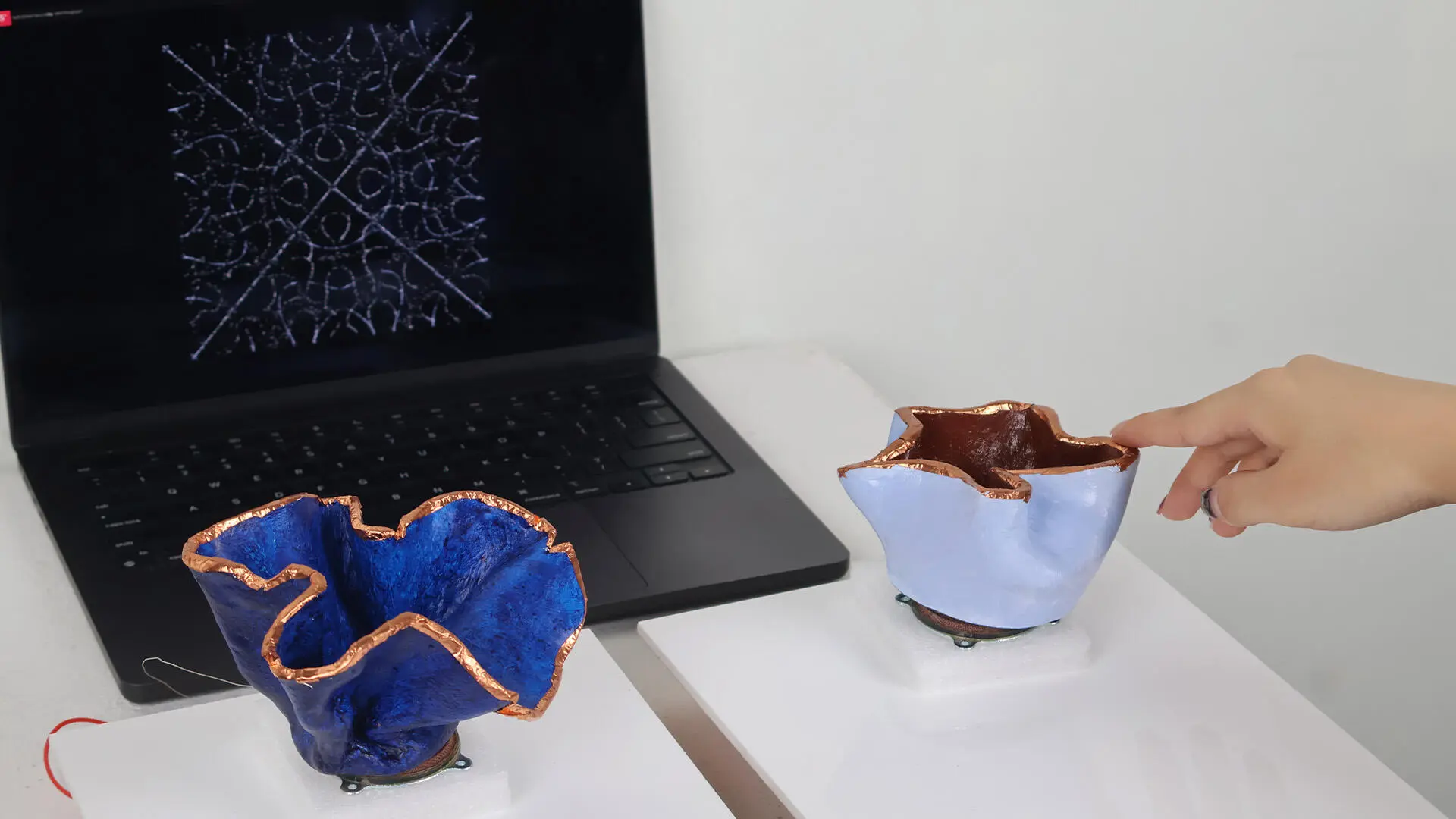 A project by Akshita Goyal