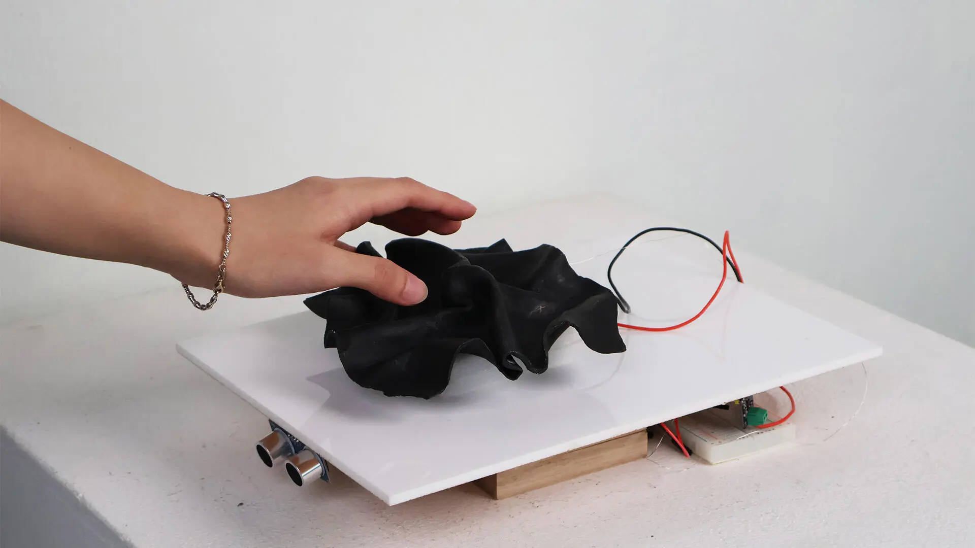 A project by Akshita Goyal