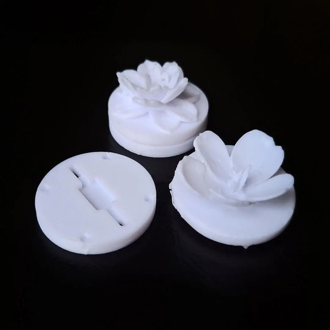 A project by Tanisha Shaw