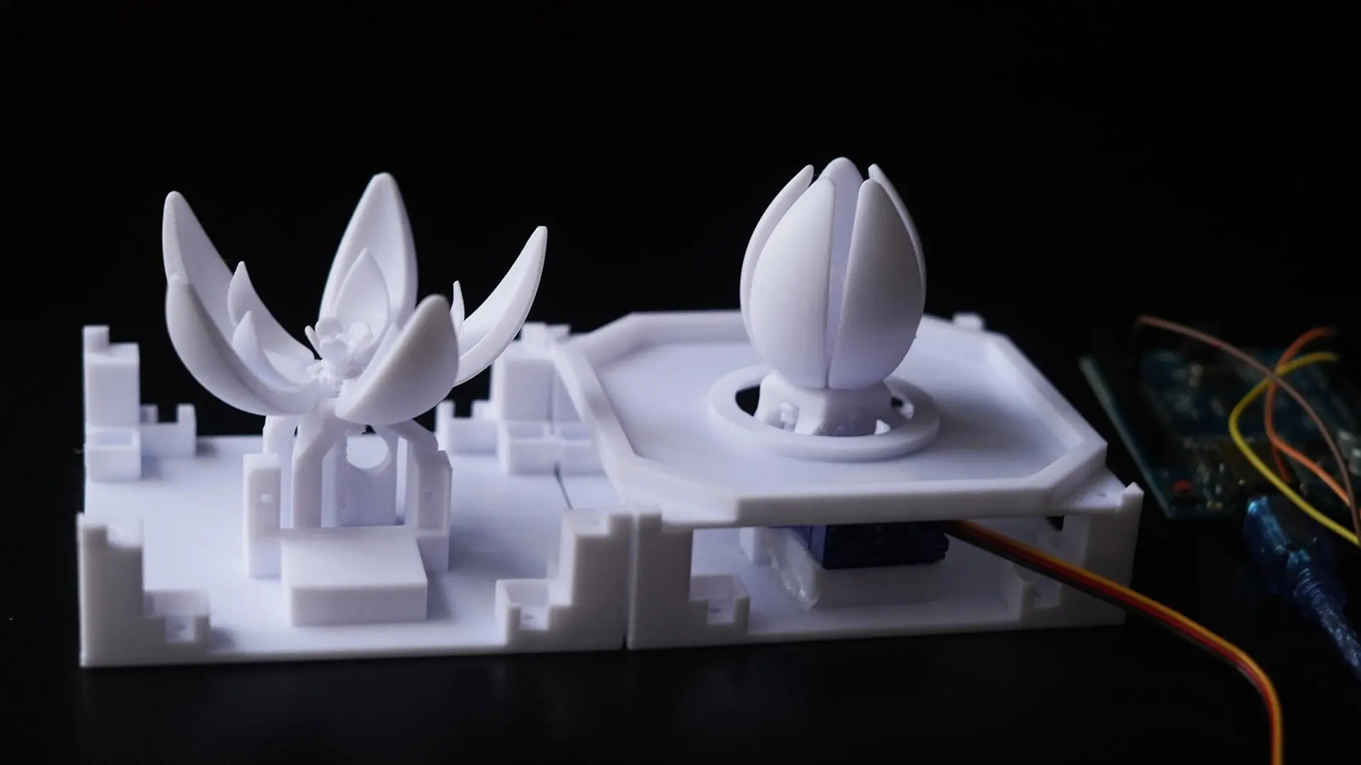 A project by Tanisha Shaw