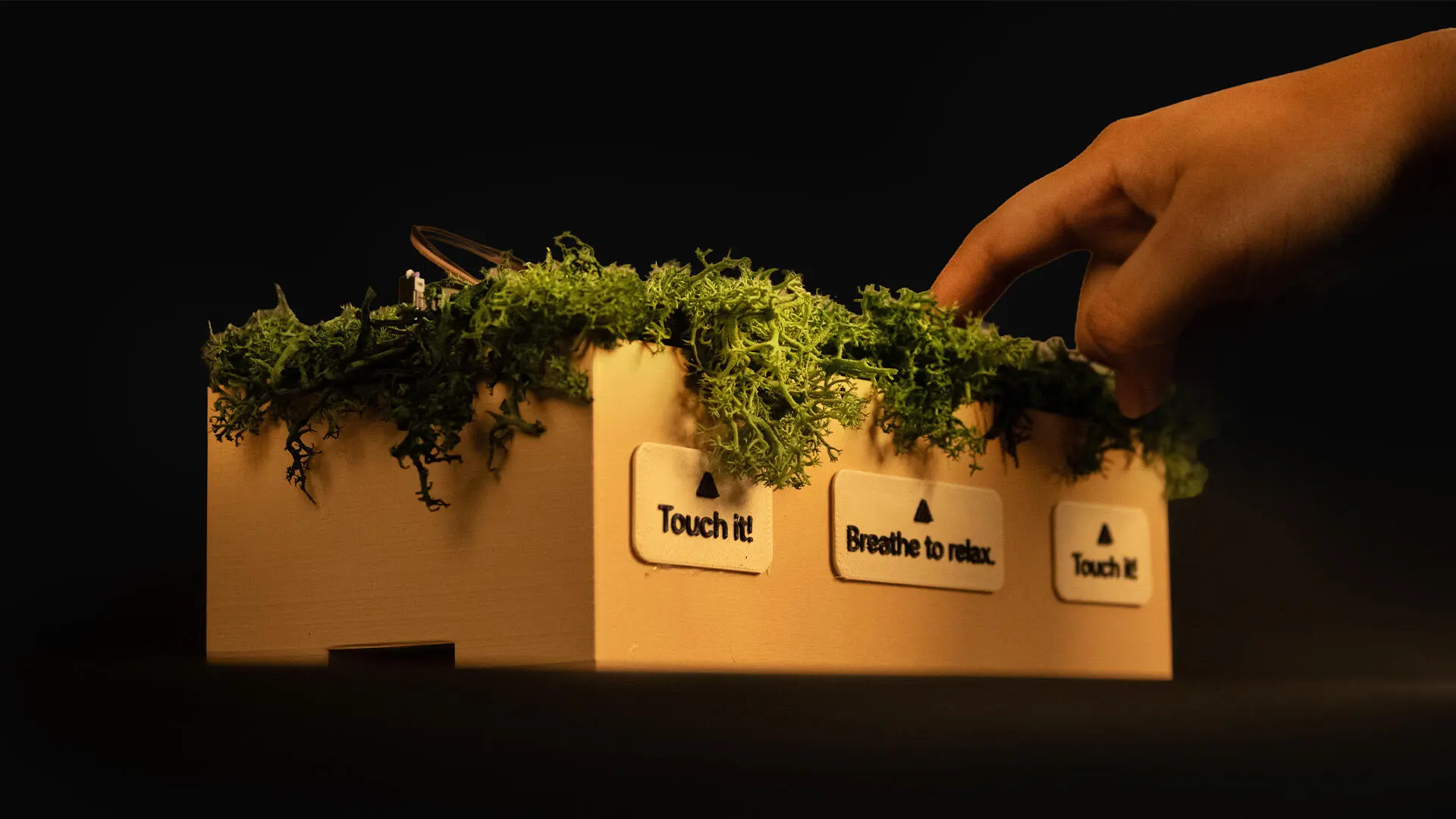 A project by Hidayah