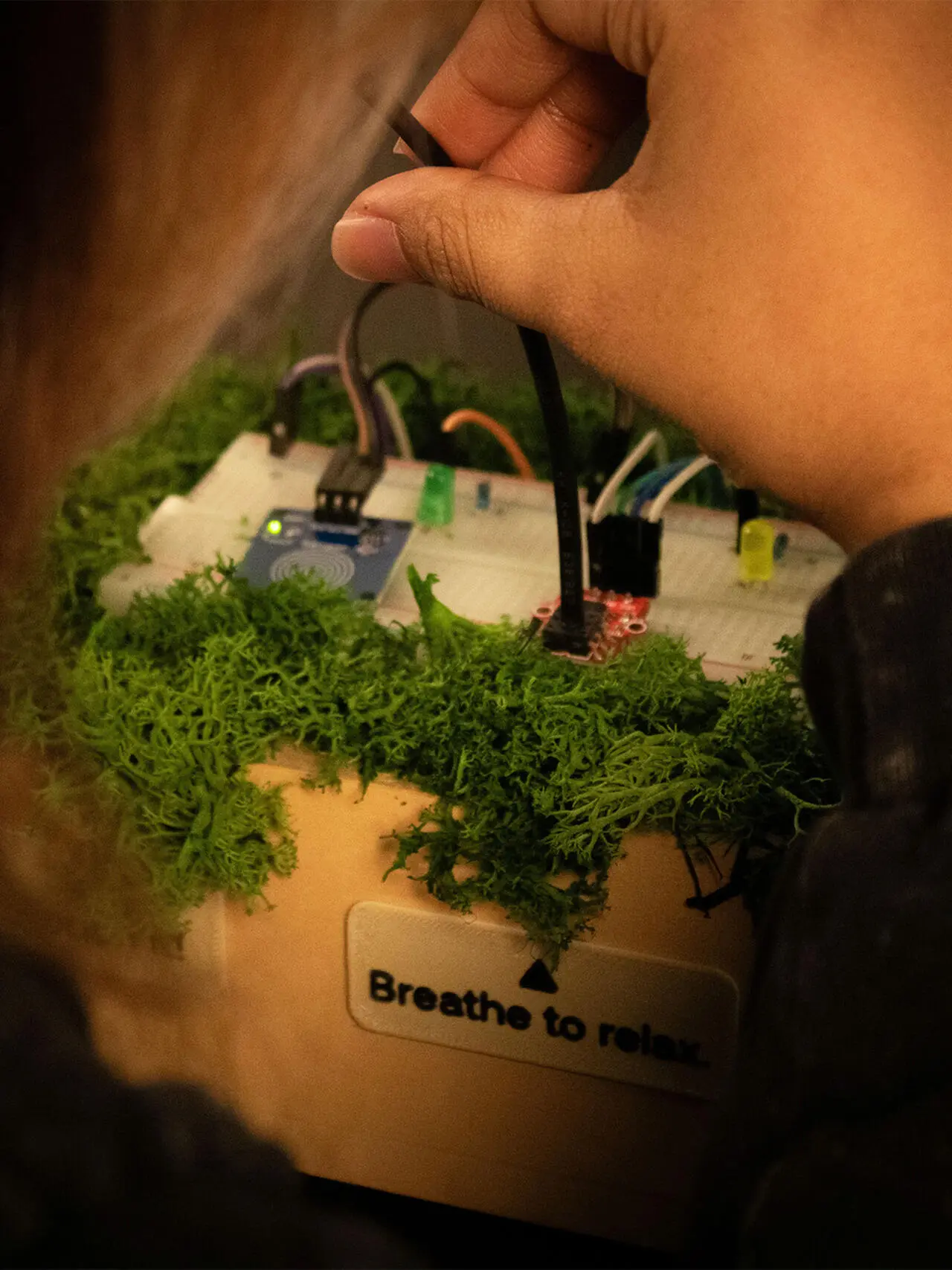 A project by Hidayah