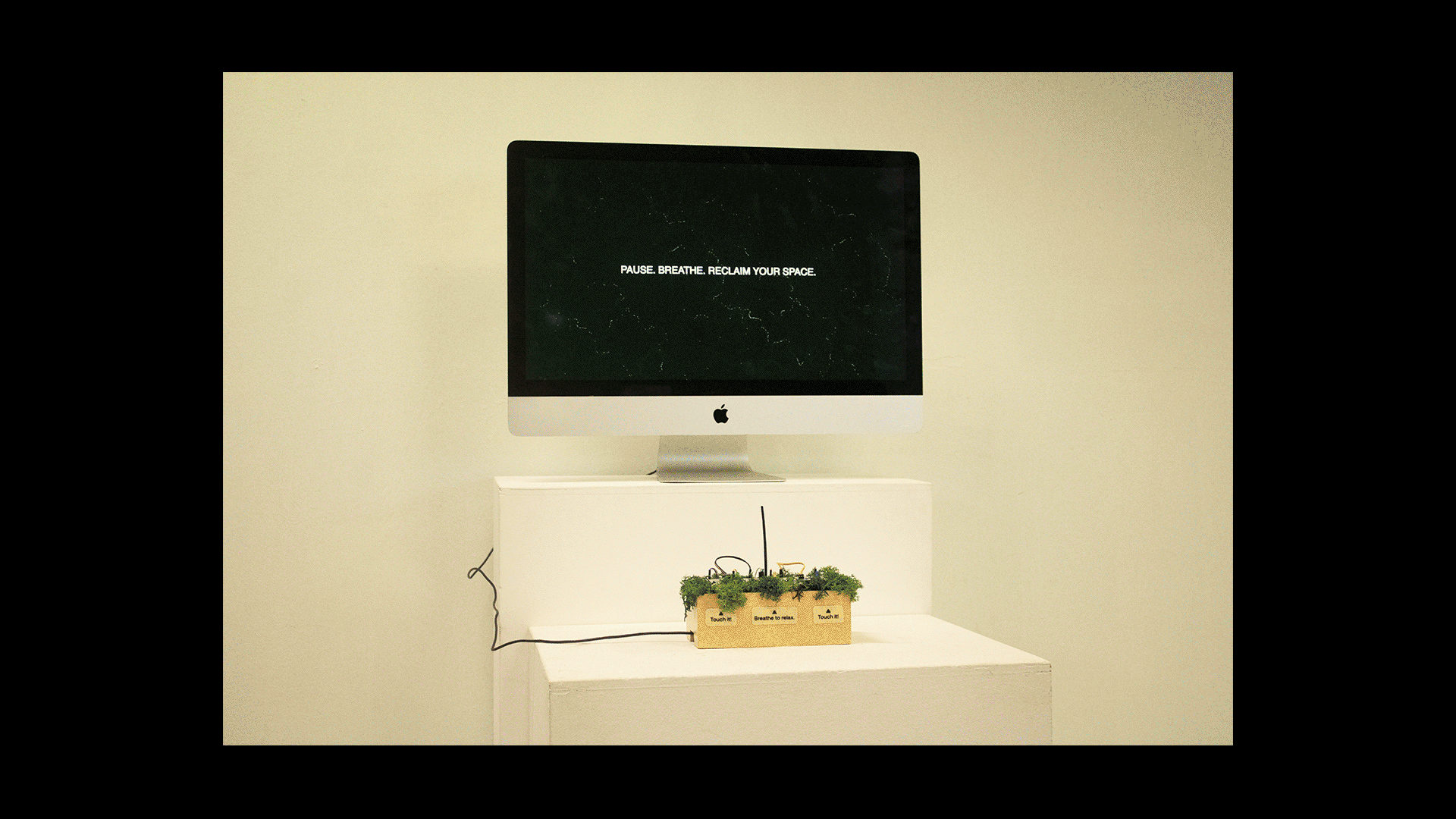 A project by Hidayah